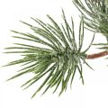 Floristik24 Vánoční větve umělá borovicová větev zasněžená 30cm 6ks