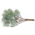 Floristik24 Vánoční větve umělá borovicová větev zasněžená 30cm 6ks