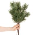 Umělá borovicová větev jako dekorativní jedlová větev, 55 cm, 3 kusy | Floristik24.cz