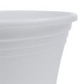 Floristik24 Plastový hrnec “Irys” bílý Ø15cm H13cm, 1ks