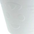 Floristik24 Plastové hrnce s uchy 12ks. 14 cm x 12 cm bílá