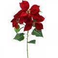 Floristik24 Umělá vánoční hvězda červený stonkový květ 3 květy 85cm