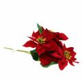 Floristik24 Poinsettia kytice červený samet 35cm