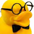 Floristik24 Ozdobná figurka kachna s brýlemi žlutá, vtipná letní dekorace, ozdobná kachna se sesypaná
