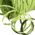 Floristik24 Rafiová stuha zelená, hnědá, poly rafie 200m