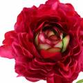 Floristik24 Ranunculus tmavě růžový umělý 51cm
