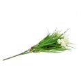 Floristik24 Ranunculus s travním krémem L 35cm