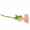 Floristik24 Květ Ranunculus a poupě umělé růžové 34cm