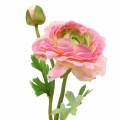 Floristik24 Květ Ranunculus a poupě umělé růžové 34cm