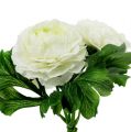 Floristik24 Kytice Ranunculus bílá L18cm