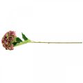 Floristik24 Hortenzie umělá růžová, bordeaux umělá květina velká 80cm