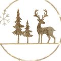 Vánoční dekorace LED dekorace dekorace jelena na baterie H29cm