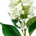 Floristik24 Panicle Hydrangea Cream White Umělý hedvábný květ hortenzie 98cm