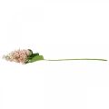 Floristik24 Panicle Hydrangea Růžový hedvábný květ Umělá hortenzie L100cm