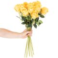 Umělá růže s dlouhým stonkem, umělá květina, 62 cm, 12 kusů | Floristik24.cz