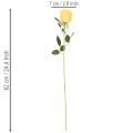 Umělá růže s dlouhým stonkem, umělá květina, 62 cm, 12 kusů | Floristik24.cz