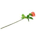 Floristik24 Růže umělý květ losos 67,5 cm
