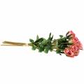 Floristik24 Růže stará růže 42cm 12p