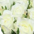 Floristik24 Růže bílá 42cm 12ks