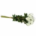 Floristik24 Růže bílá 42cm 12ks