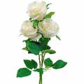 Floristik24 Bílá růže na stonku Hedvábný květ umělá růže 3ks