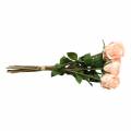 Floristik24 Umělá růže kytice meruňka 8ks