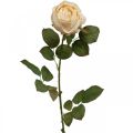 Floristik24 Barva růže krémová, květ hedvábí, umělá růže L74cm Ø7cm