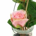 Floristik24 Růže ve skle růžová V23cm