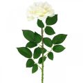 Floristik24 Hedvábný květ, růže na stonku, umělá rostlina krémově bílá, růžová L72cm Ø13cm