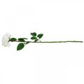 Floristik24 Bílá růže Falešná růže na stonku Hedvábný květ Falešná růže L72cm Ø13cm