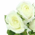 Floristik24 Růže bílá 40cm