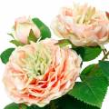 Floristik24 Dekorativní růže v květináči, romantické hedvábné květy, růžová pivoňka