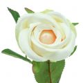 Floristik24 Umělá růže krém 44cm 6ks