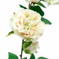 Floristik24 Romantická růžová girlanda hedvábný květ umělá růže 160 cm