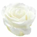 Floristik24 Infinity růže velké Ø5,5-6cm bílé 6ks