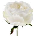 Floristik24 Růžový květ bílý 17cm 4ks