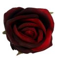 Floristik24 Hlava růže Ø6,5cm tmavě červená 8ks