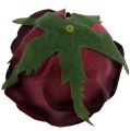 Floristik24 Hlava růže Ø6,5cm tmavě červená 8ks