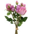 Floristik24 Kytice růží starorůžová 40cm