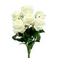 Floristik24 Kytice růží bílá, krémová 55cm