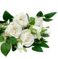 Floristik24 Kytice růží bílá L46cm