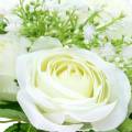 Floristik24 Kytice růží s gypsophilou bílá 26cm