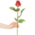 Umělá růžová větev z hedvábného květu, červená 72 cm, 3 ks | Floristik24.cz