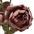 Floristik24 Umělá ratolest růže fialová 76cm