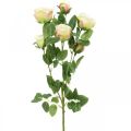 Floristik24 Větev růže, hedvábné růže, umělá větev růžová, krémová L66cm Ø3/5cm
