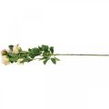Floristik24 Větev růže, hedvábné růže, umělá větev růžová, krémová L66cm Ø3/5cm