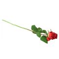 Floristik24 Větev růže hedvábný květ umělá růže červená 72cm
