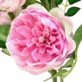 Floristik24 Větev růže hedvábná růže umělá větev růže růžová krémová 79cm