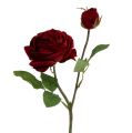 Floristik24 Sametově růže červená s poupatem Ø9cm L38cm