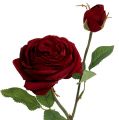 Floristik24 Sametově růže červená s poupatem Ø9cm L38cm